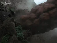 Burrowing