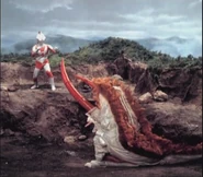 Jack vs Oxter.jpg (47 KB)