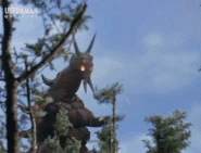 Tail Flame