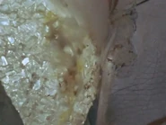 Crystal ball.jpg (84 KB) Crystal Ball