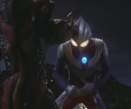 Tiga suffering .png (219 KB)