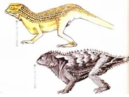 Peter concept art. The bottom was the primary design.