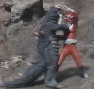 Redman Fighting Black King.