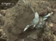 HarigojiraBurrowing.jpg (87 KB) Burrowing