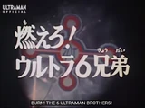 Burn! The 6 Ultra Brothers!