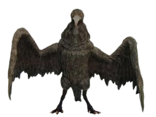 Larngeus X-Plus-.png