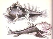 Sudar Concept Art 001.jpg (45 KB) Concept art