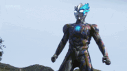 Spiral Burrade Embrace