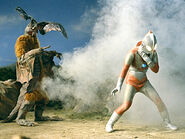 DRACULAS.jpg (30 KB)