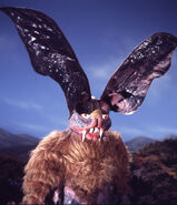 Draculas 1.jpg (267 KB)