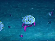 Cnyscyano assim.gif (5.63 MB) Assimilation