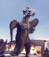 Chameleking 0.jpg (279 KB)