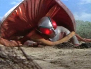 Tentacles and Smothering