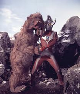 Orphy v Ultraman Taro