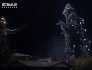 Shock Beam