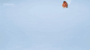 Flight
