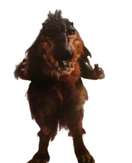 DEGUNJA II-removebg.png