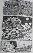 Gorgos manga