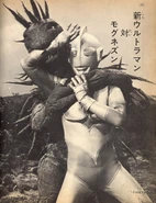 Mognezun 1.jpg (211 KB)