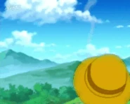 Cnysgold ball.gif (2.34 MB) Transformation