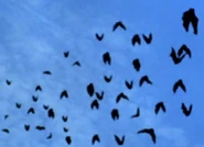 Decent considering.png (202 KB)