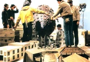 Takkong behind the scenes