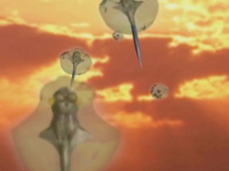 Critters.png