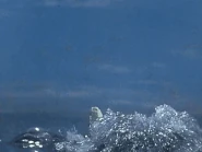 Adept Swimmer