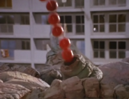 Queen Tortoise Remote Bombs