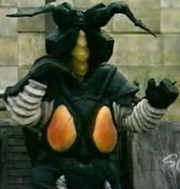 Queerwig Zetton