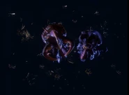 Both male and female Insectus in the Monster Graveyard