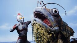 Angorasultraman80 16