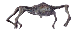 Grakyess Render