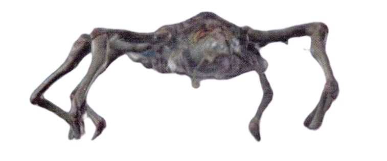 Grakyess | Ultraman Wiki | Fandom