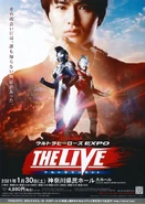 Detailed visual for canceled performance