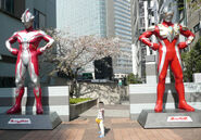 Statues of Ultraman Max & Ultraman Mebius