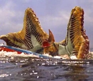 Pestar and ship.jpg (29 KB) Pestar attacking a boat with oil