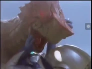 Taildas wants to bite Cosmos