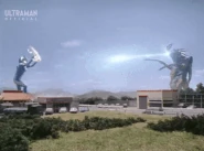 CosmosReverspike.gif (7.09 MB) Reverspike Barrier