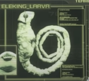 An image of Eleking's larva on DASH's screen