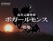 Bogarl & Hikari title card.png (513 KB)