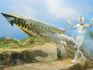 Inbera-0.jpg (141 KB)