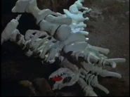 Oxterskeleton.jpeg (148 KB) Oxter's skeleton