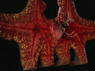 Pestar 1993 HD 15.png (2.71 MB)