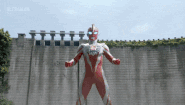 Reticulute Beam