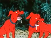 Red-Dogs-Izenborg-February-2021-01