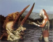 OXTER-JACK.jpg (51 KB)