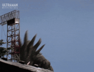 Organic Missile Cannon Blasts