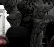 Niruwanie in the city