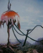 Univerlages-2.jpg (22 KB)